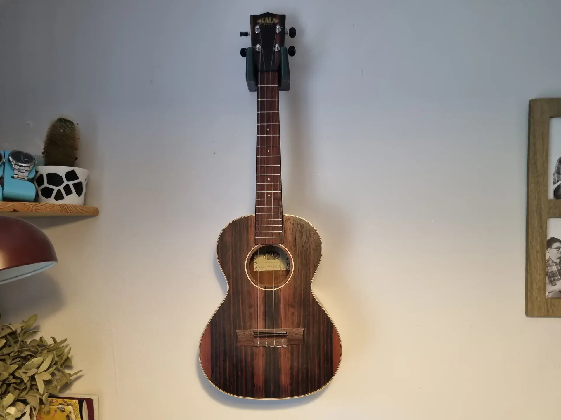 Support mural robuste pour instruments Ukulélé et Banjo