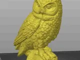 owl-3