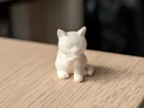MINI katzen kollektion-2