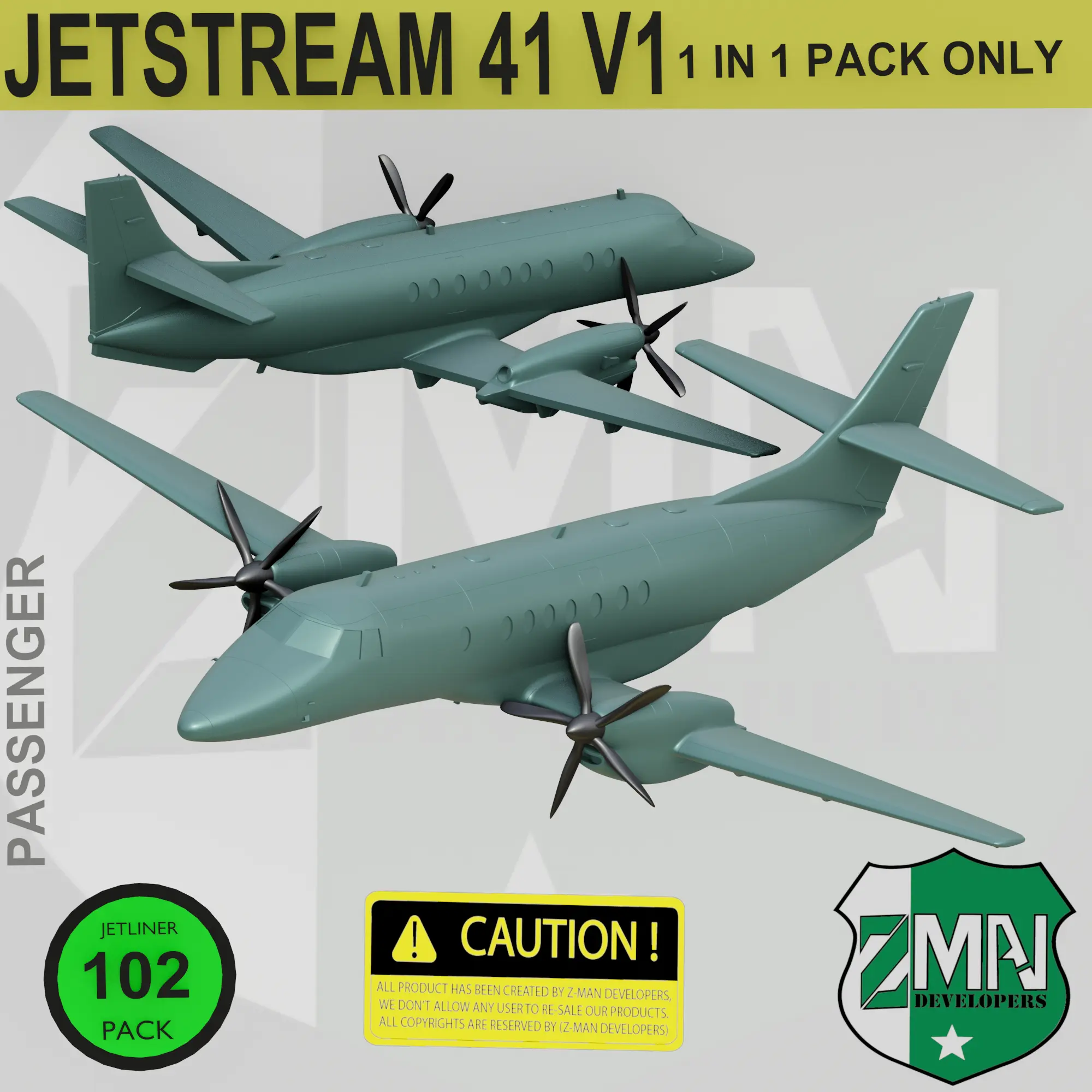 BAE JETSTREAM 41 (EINZIGER ASP) A