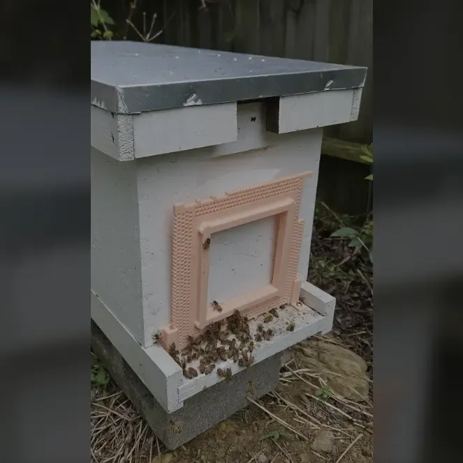 bee keeper entrance
