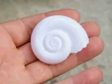 Shell of a snail decoration object-3