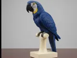 Arara azul de lear-0