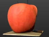 BUTTERFLY APPLE-5