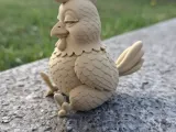 Chill Chicken-4