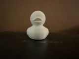 Rubber Ducky-1