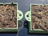 Square Rooting Box by LindaSchxfer (Thingiverse)-6