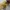 Centre Finder – Pencil Scribing Tool (50 mm)