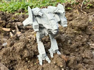 Combat robot, mechwarrior