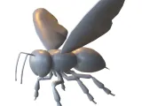 Flying Ant Insect-0