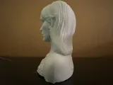 Celebrity Bust-1