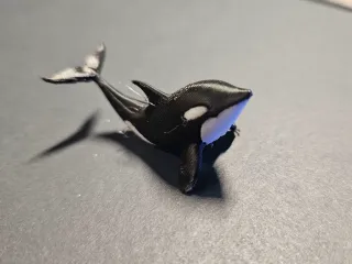Orca