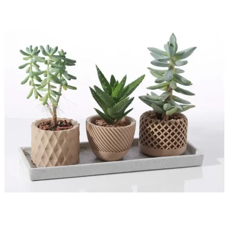 Geometric succulent Plant Pot 1