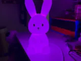 CONIGLIO (BUNNY)-1
