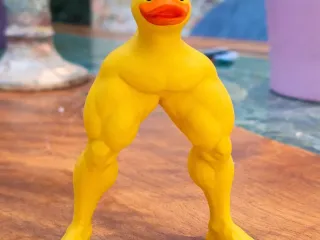 Duck figure