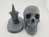 Skull Anatomy-6