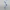 spatial  WebWay portal - bfg - terrain