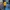 Psyduck Pokemon Model 3D