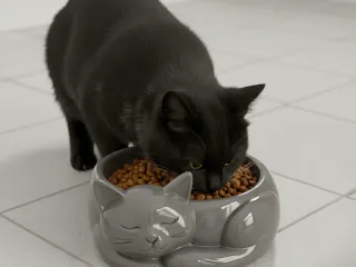 CAT POT - PLATE