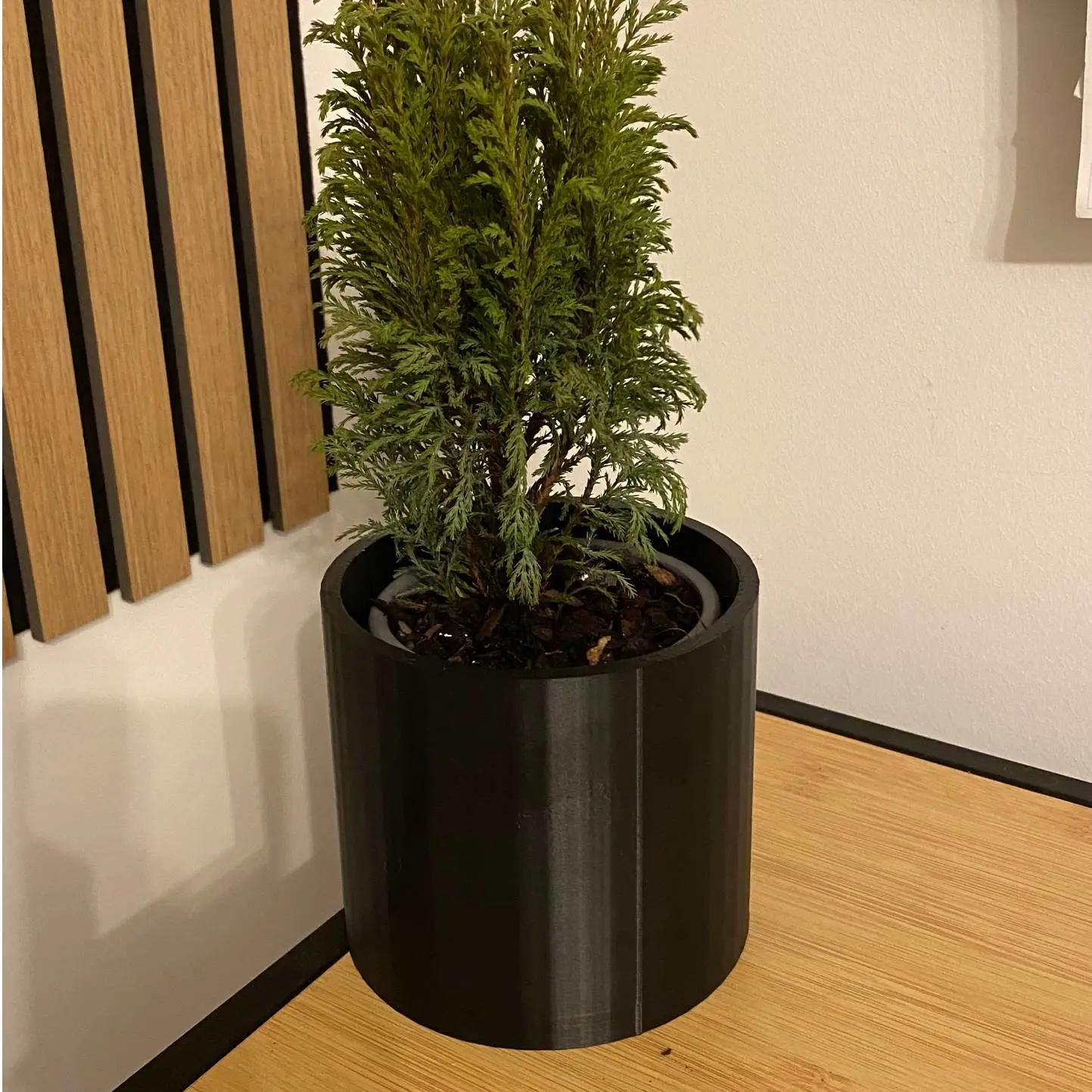 Simple Grow Plant Pot