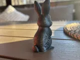 Hase-5