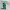 Donatello – TMNT 1987 Statuetta DeskBuddy