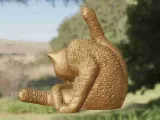 Cat cleaning-4