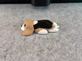 Cute Dog-6