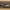 Koenigsegg Jesko 3D-Art Picture