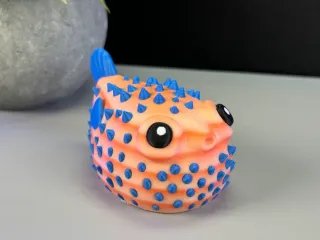 Cute Puffer Fish
