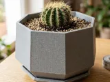 Modern Geometric, Octagonal Planter and Saucer Set-1