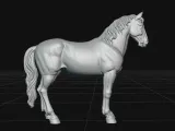 horse-2