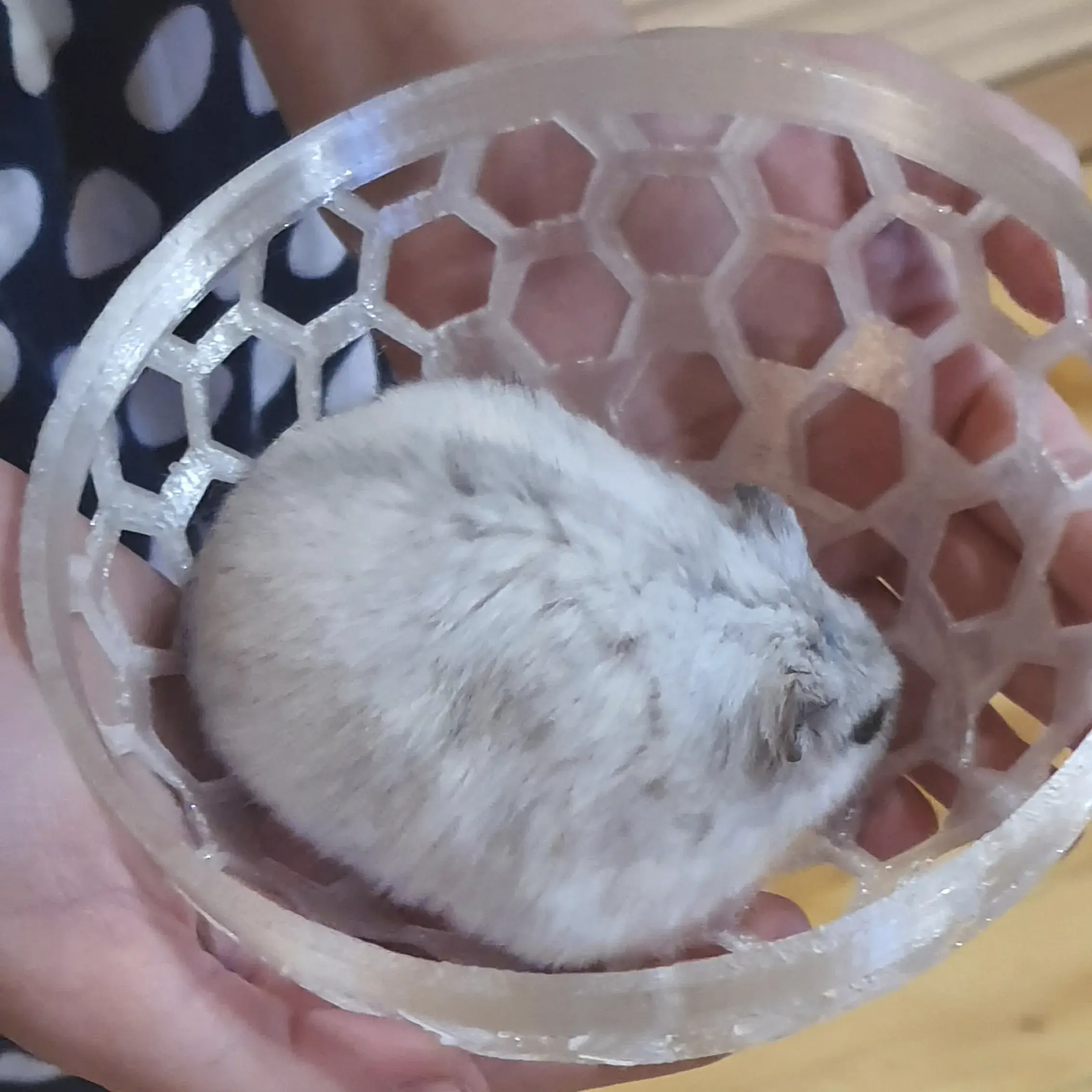 Hamster ball