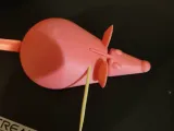 Rat for Cat-3