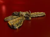 Death Moth-2