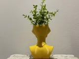 BOT PLANTER-4
