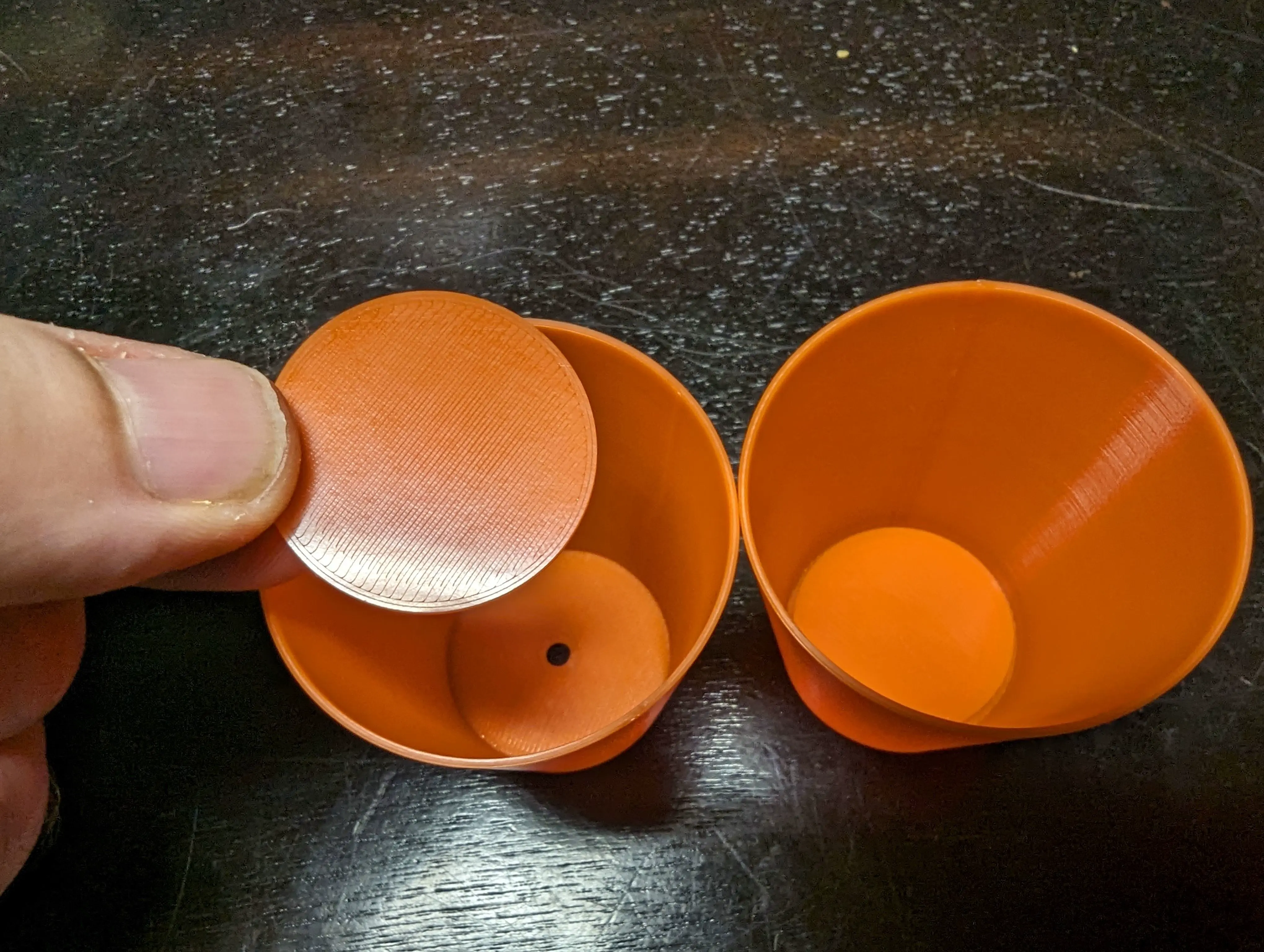 Self-watering seed starter