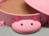 Axolotl Sandbox-5