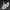 scull bat