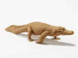 American alligators 3 poses-3