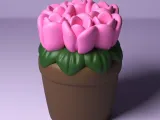 Potted Tulip-1