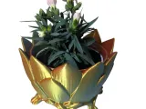 Triple-Color Lotus Planter Set - 2-in-1 Design with Drainage-3