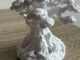 Ancient tree-3