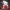 Inuyasha_Knitted