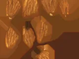 Almond-0