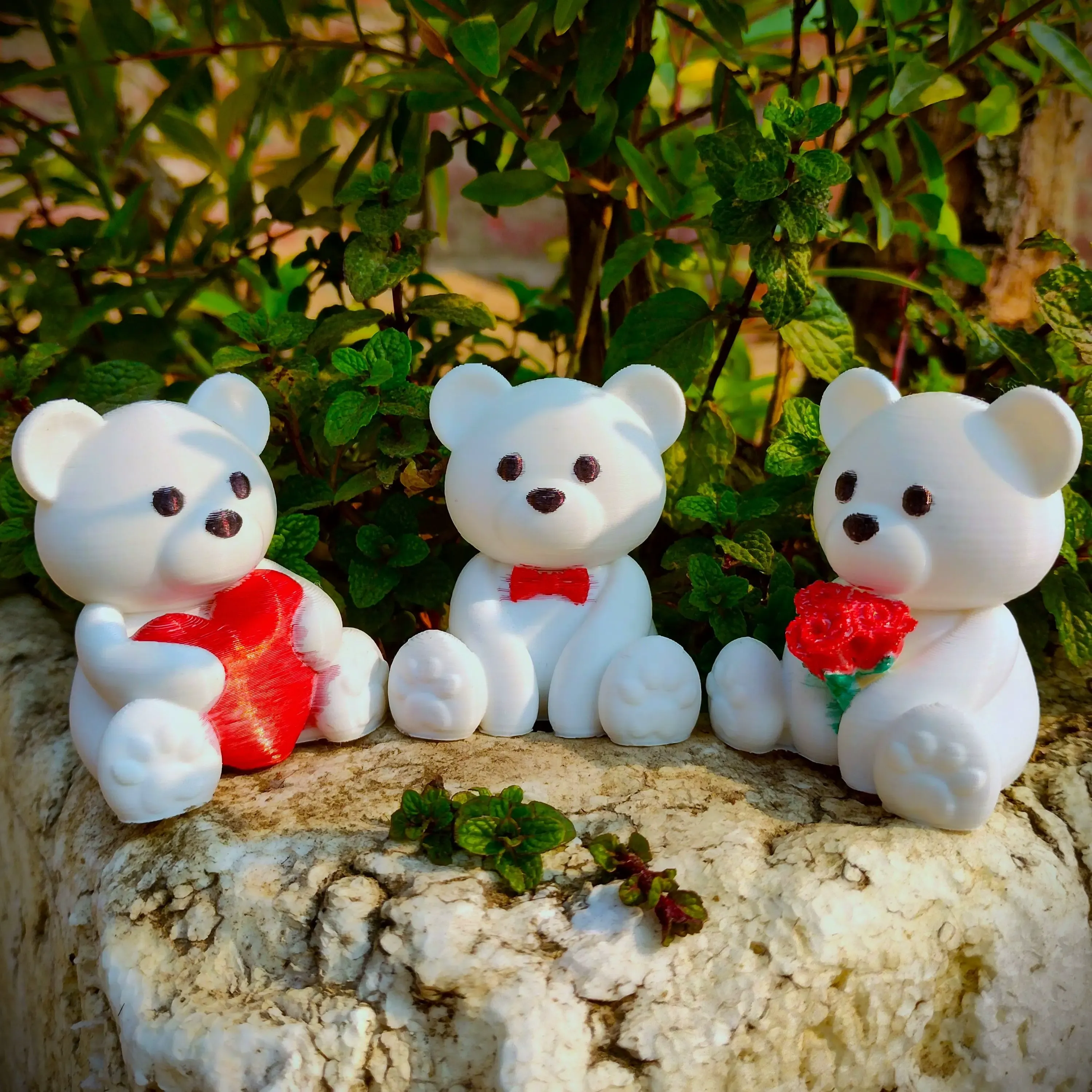 Valentine's Special - Teddy Bear Collection