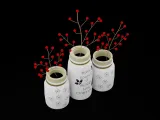 Christmas Jars-2