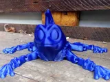 Punk Frog flexi-2