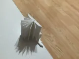 Cute flex open book-2