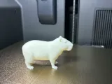 Realistic Capybara Statue-Minimalist Animal Décor-4